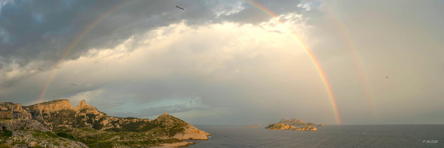 Selection format 20X60 cm