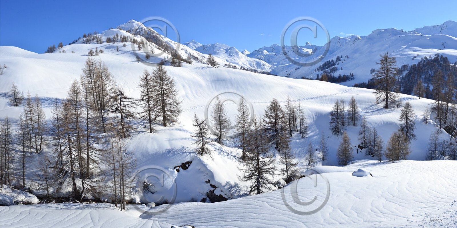 montagne haute alpes ,queyras, mercantour,alpes de haute provence,alpes maritime