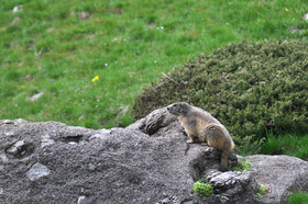 MISE A  JOUR  en cours