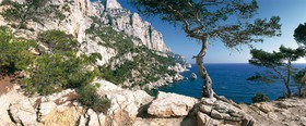 PIN DE SUGITON  Calanques Provence Marseille photo couleurA chaque format correspond une éditions limitée spécifique .© collection P GUZIK CRÉATION JOURNALIERE  -