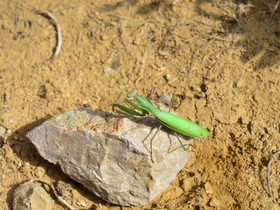 MISE A  JOUR  en cours