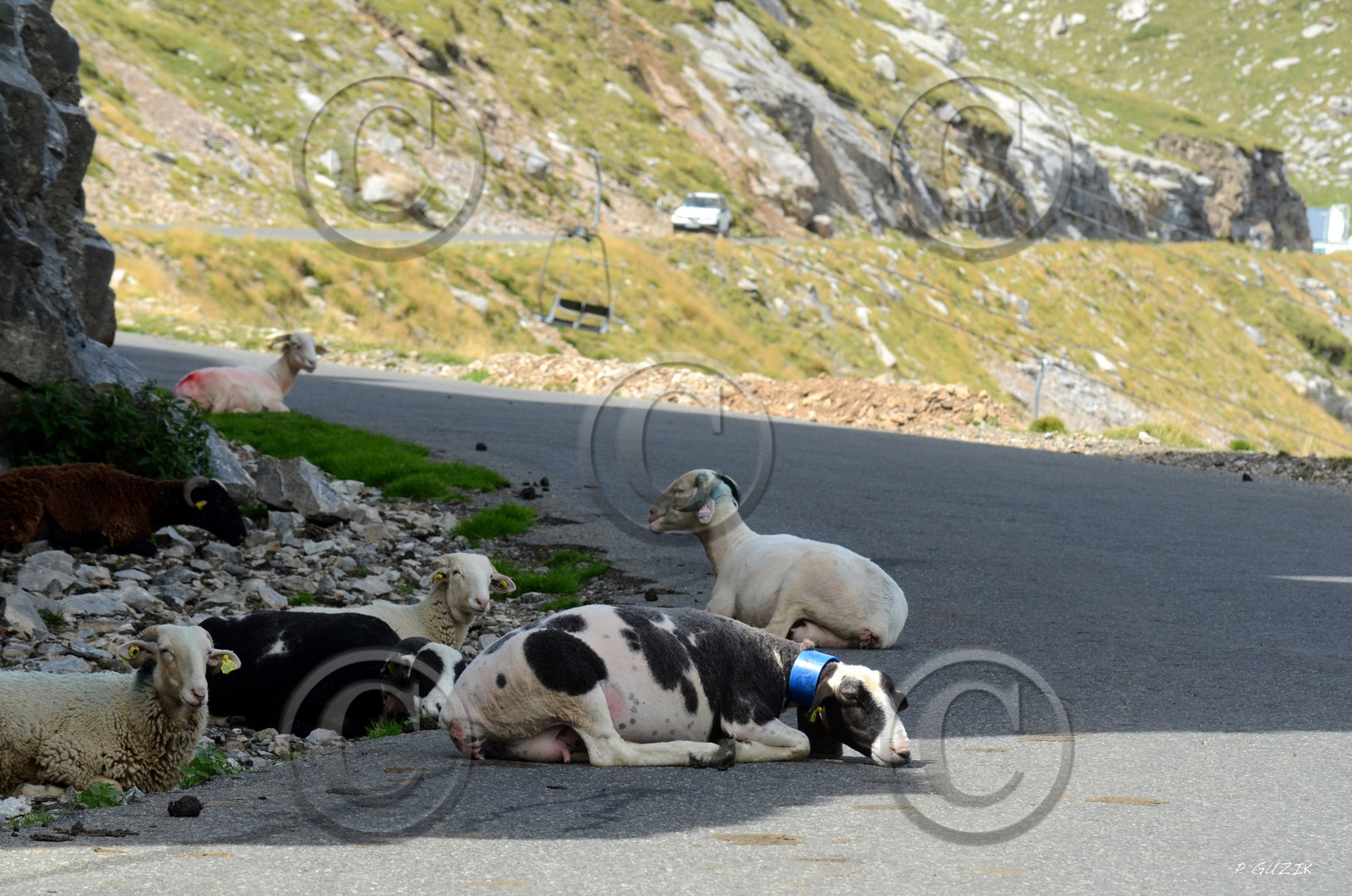 montagne haute alpes ,queyras, mercantour,alpes de haute provence,alpes maritime