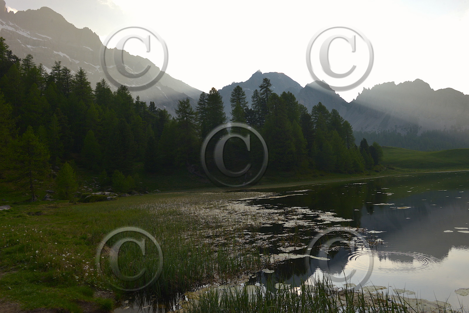 DANS LES ALPES DU SUD  , LE QUEYRAS