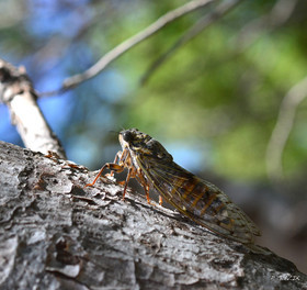 MISE A  JOUR  en cours