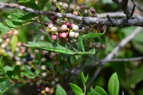 MISE A  JOUR  en cours