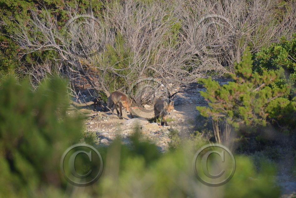 MISE A  JOUR  en cours