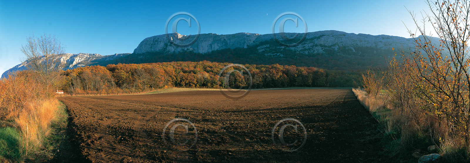 Photo de la sainte baume