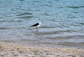 MISE A  JOUR  en cours