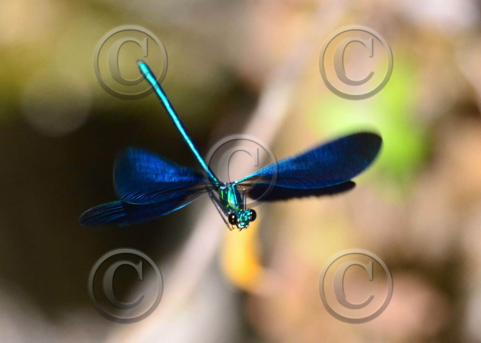 Photo de la sainte baume