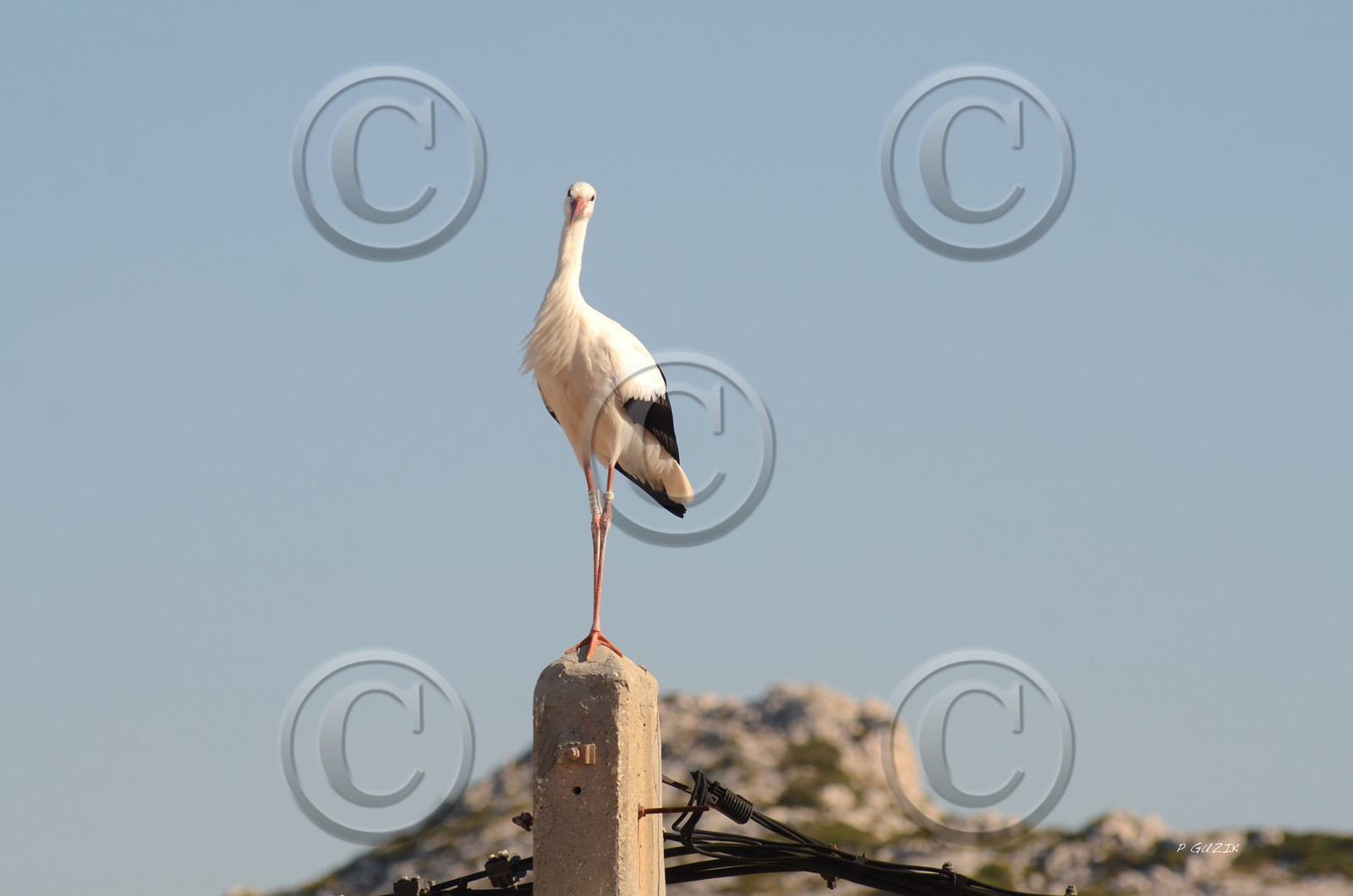 MISE A  JOUR  en cours