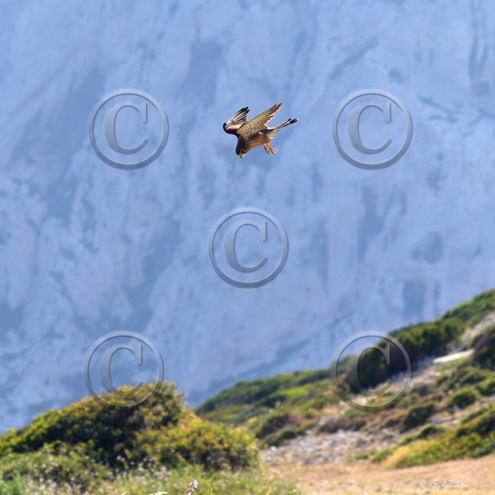 MISE A  JOUR  en cours