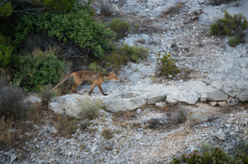 MISE A  JOUR  en cours