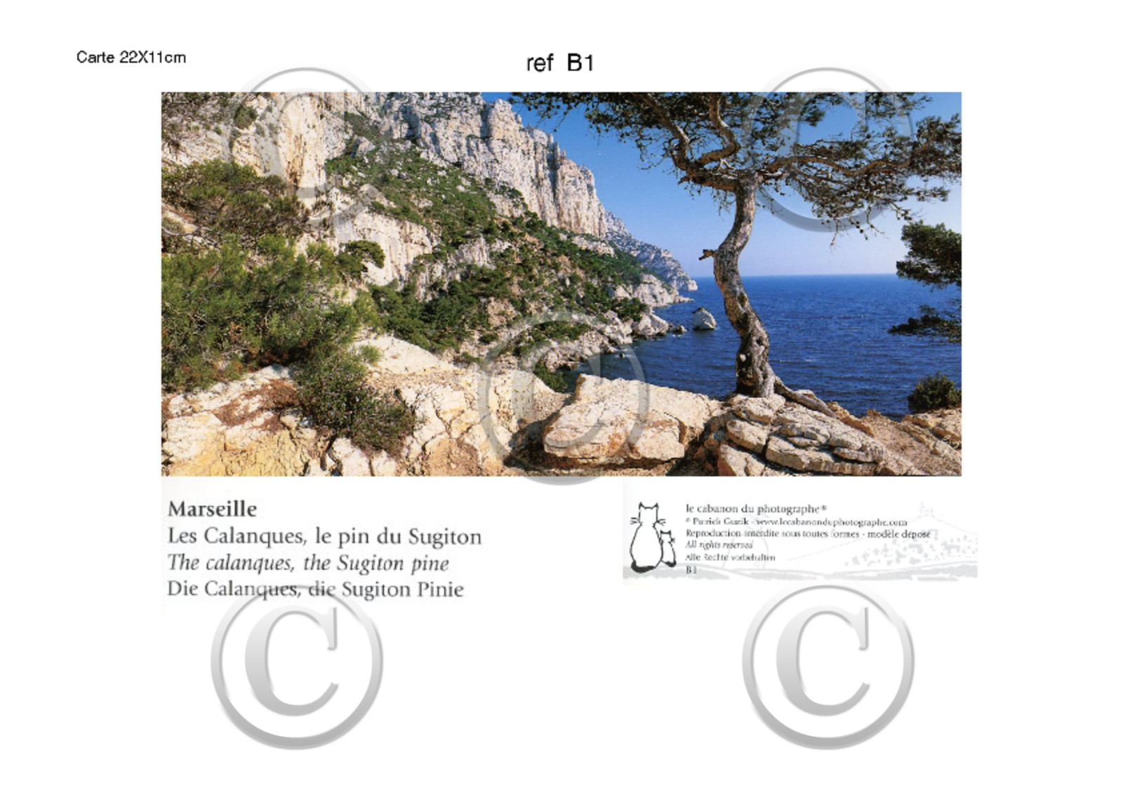 REF B1    CARTES POSTALES - Collection - B -       PIN DE SUGITON