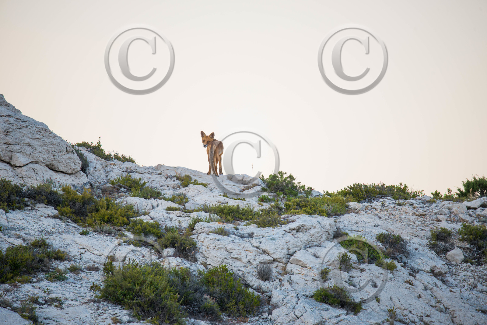 MISE A  JOUR  en cours