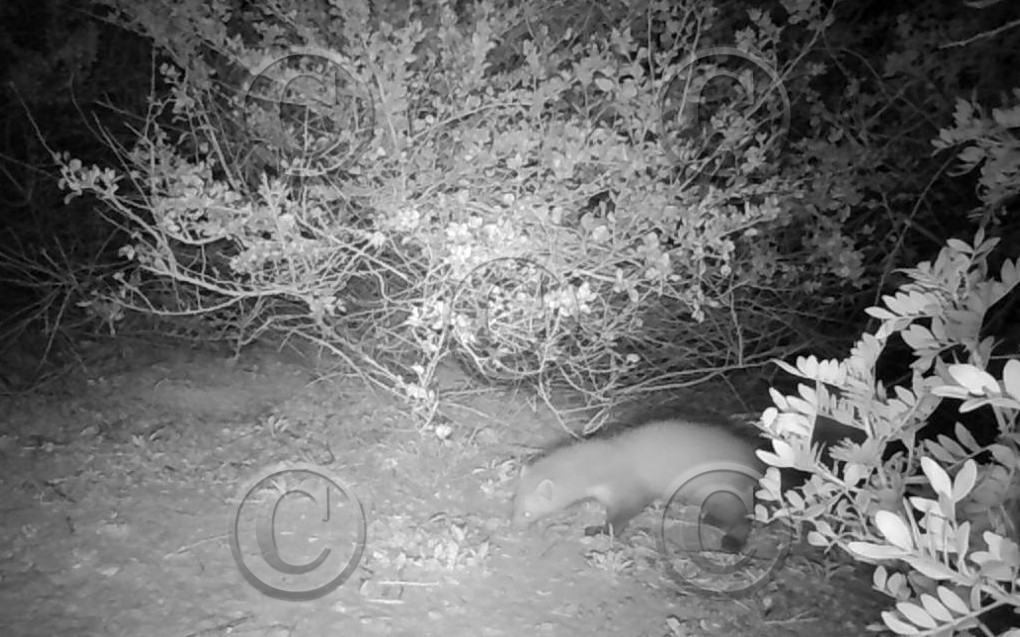 MISE A  JOUR  en cours