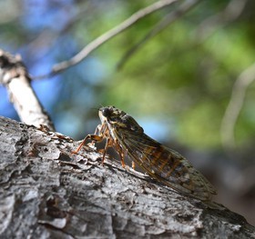 MISE A  JOUR  en cours