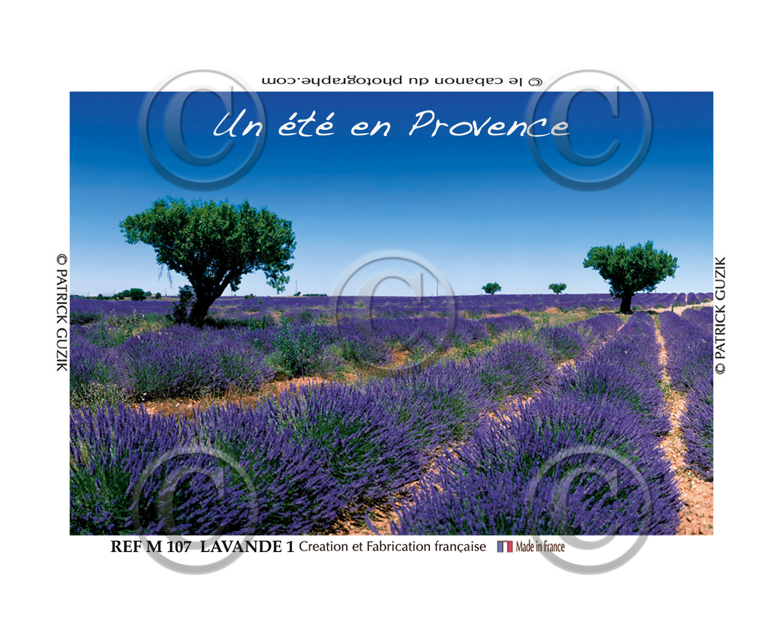 ref M107-Provence la lavande et amandiers 8054.jpg