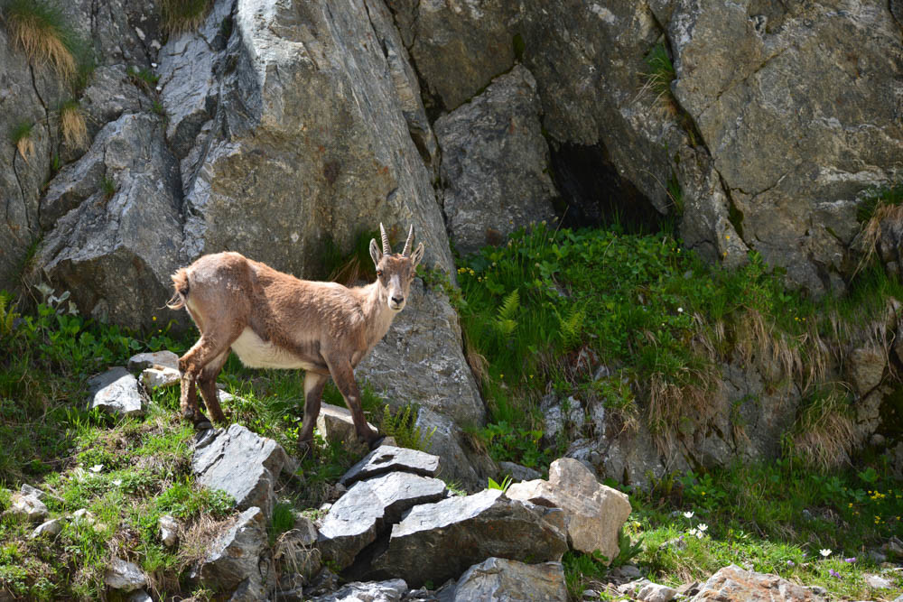 MISE A  JOUR  en cours