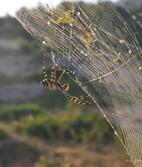 MISE A  JOUR  en cours