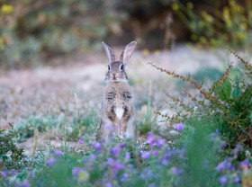 MISE A  JOUR  en cours