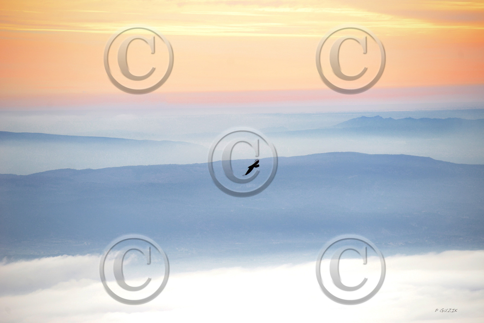 MISE A  JOUR  en cours