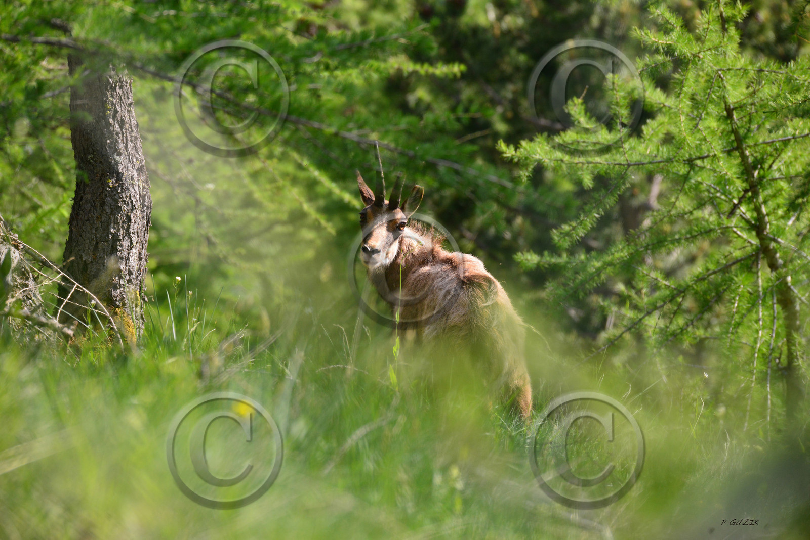 MISE A  JOUR  en cours