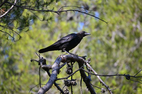 MISE A  JOUR  en cours