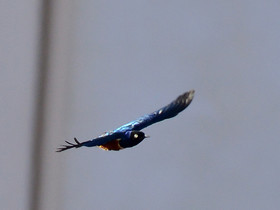 MISE A  JOUR  en cours