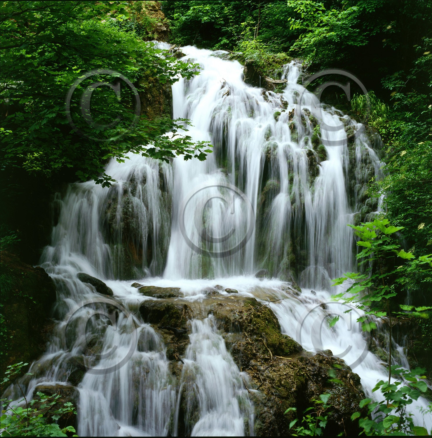 Photo de la sainte baume