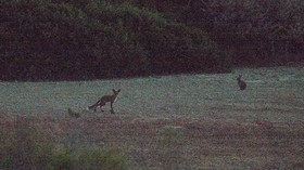 MISE A  JOUR  en cours