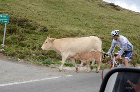 montagne haute alpes ,queyras, mercantour,alpes de haute provence,alpes maritime
