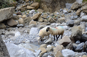 montagne haute alpes ,queyras, mercantour,alpes de haute provence,alpes maritime