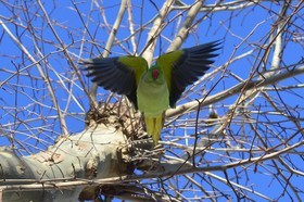 MISE A  JOUR  en cours