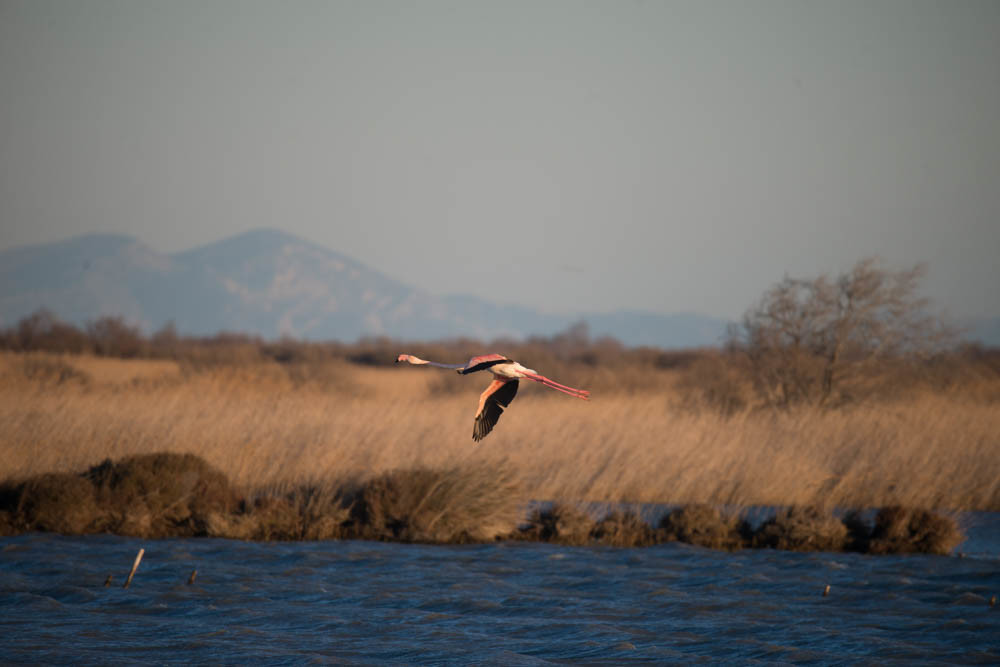 MISE A  JOUR  en cours