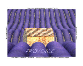 REF M119-Provence cabanon dans la lavande. -8054.jpg
