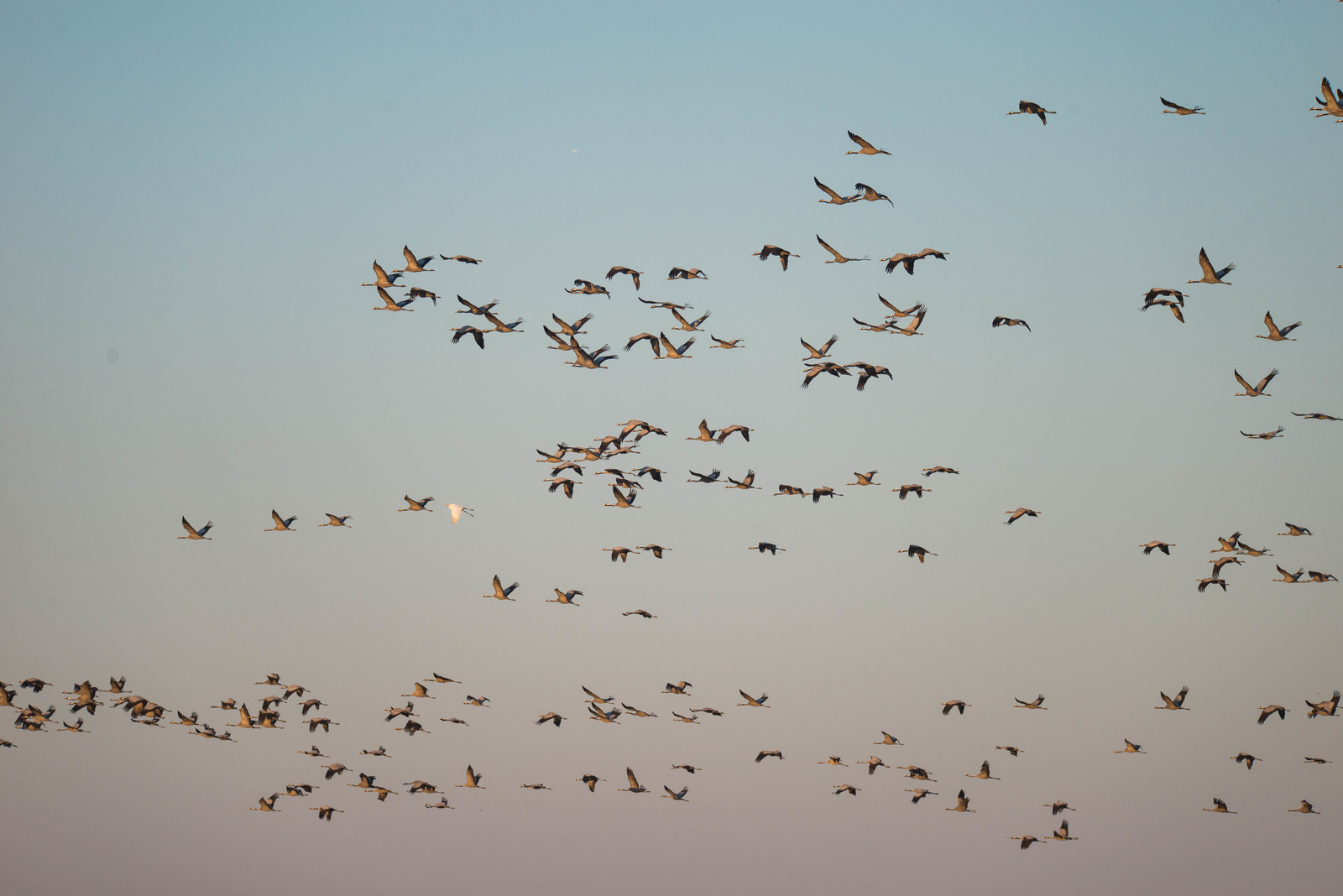 MISE A  JOUR  en cours