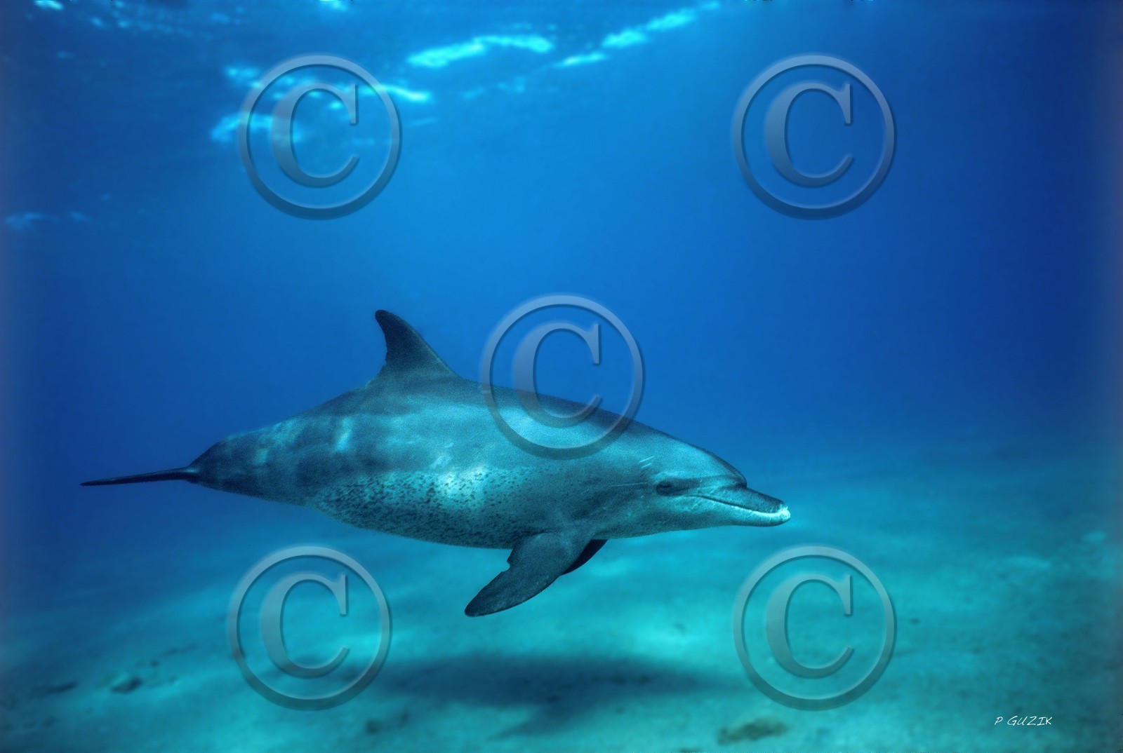 MISE A  JOUR  en cours