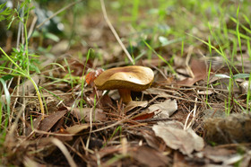 MISE A  JOUR  en cours