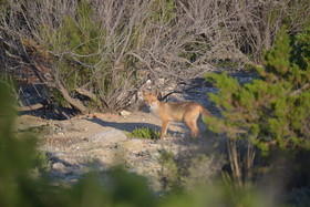 MISE A  JOUR  en cours