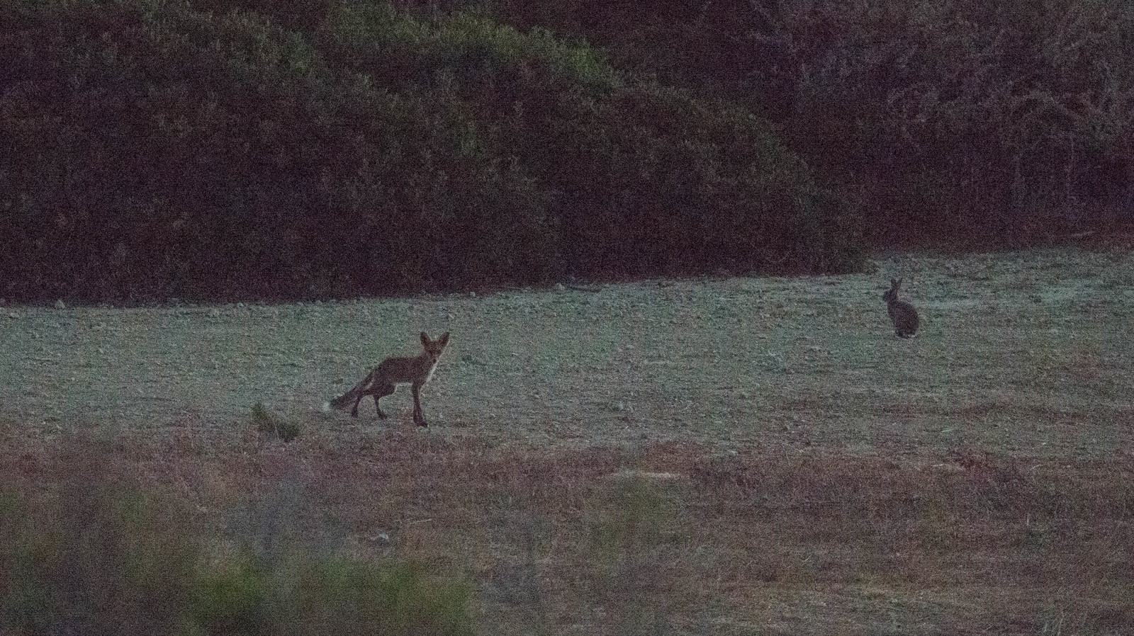 MISE A  JOUR  en cours