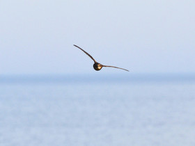 MISE A  JOUR  en cours