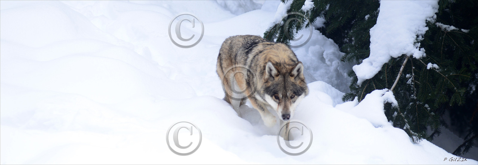 MISE A  JOUR  en cours