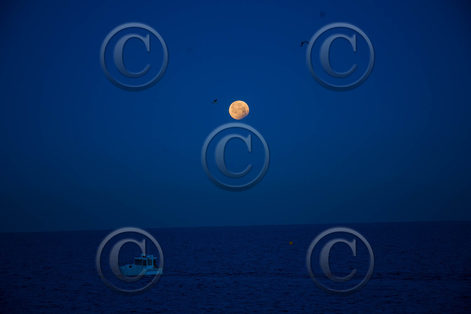 Éclipse lunaire du 21 janvier 2019 dans