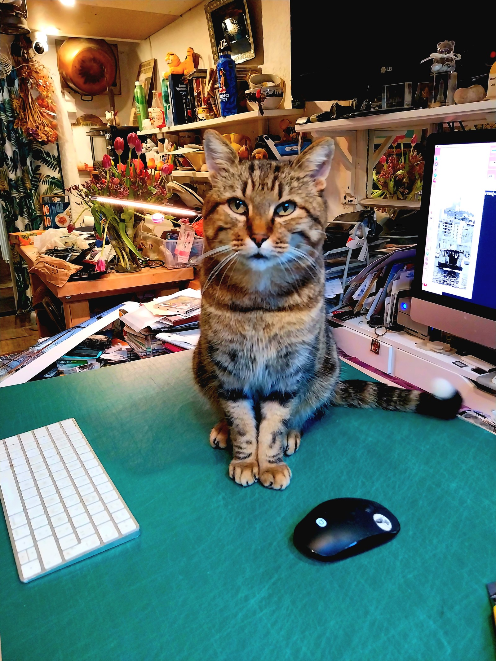 Marche de noel de Marseille 2023   2024