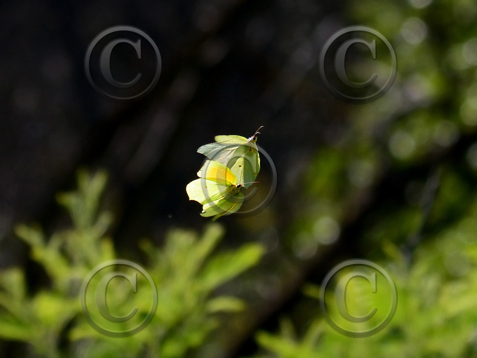 MISE A  JOUR  en cours