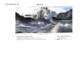 REF  A 14  CARTES POSTALES COLLECTION  A