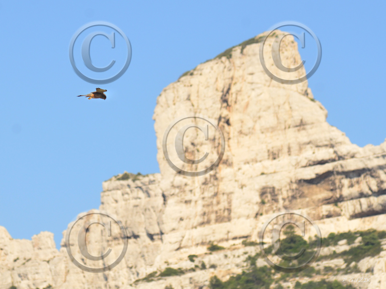 MISE A  JOUR  en cours