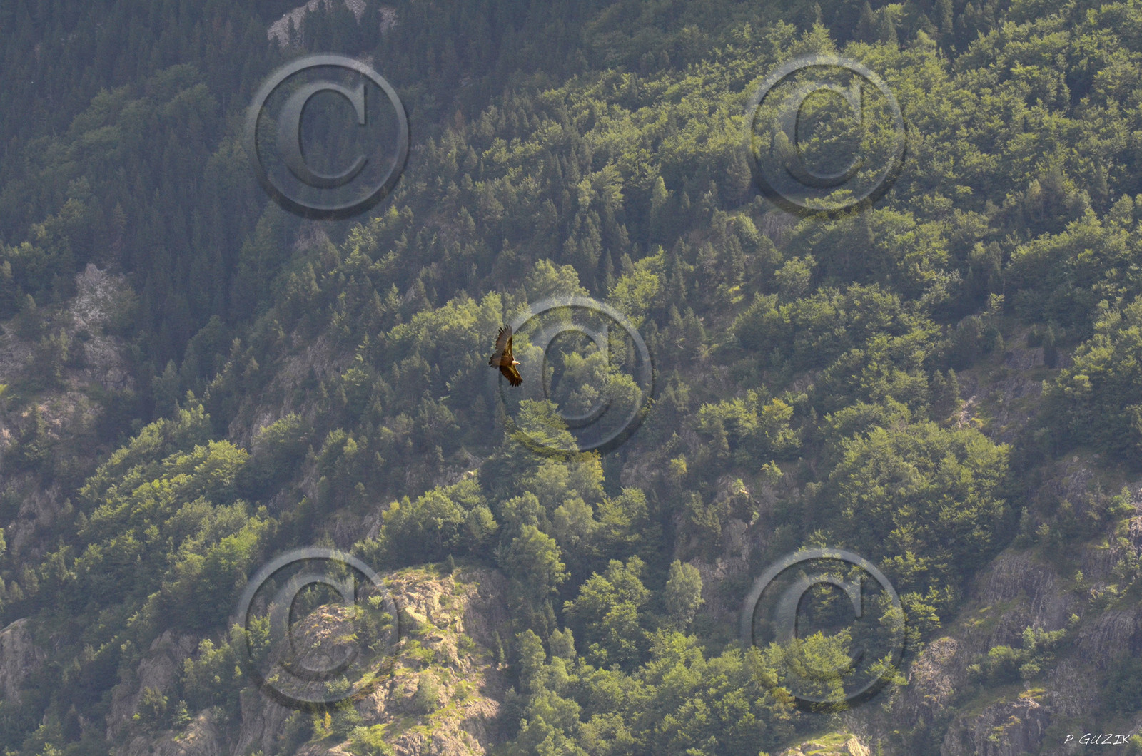 montagne haute alpes ,queyras, mercantour,alpes de haute provence,alpes maritime
