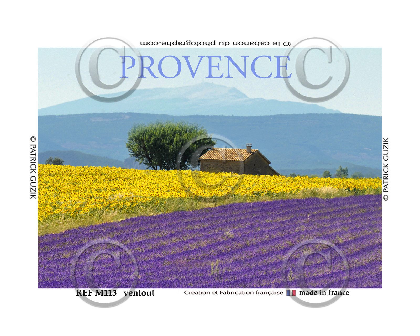 REF M113-PROVENCE lavande et tournesol ventoux-2025-8054.jpg