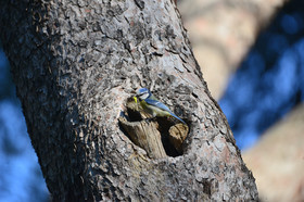 MISE A  JOUR  en cours